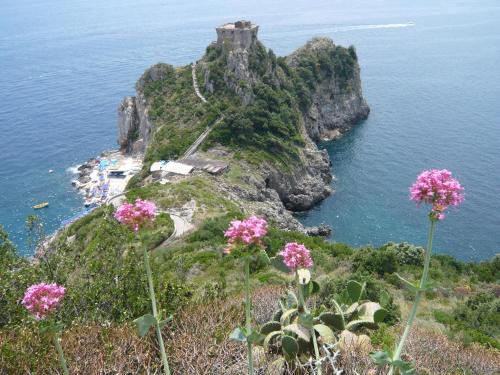 L'Incanto – Photos 4