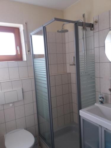 a bathroom with a shower and a toilet and a sink at Silvi in Herdwangen-Schönach
