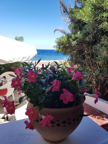 a potted plant sitting on a table next to the beach at Stromboli Vacanze in Stromboli
