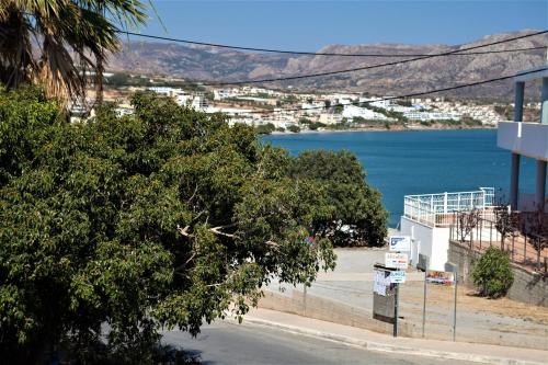 a view of a body of water with a tree at Palmira Apartments in Makry Gialos