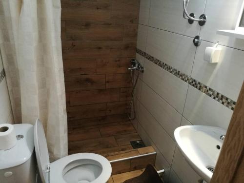 a bathroom with a toilet and a sink at Apartmani Gmitrovic in Rtanj