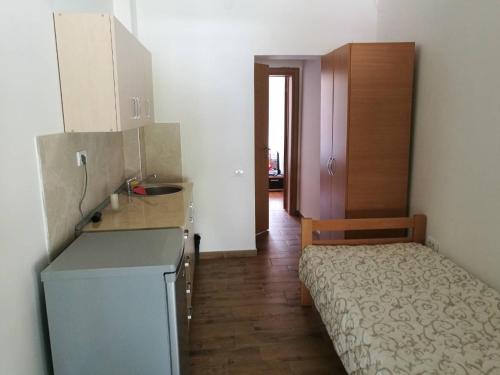 a small room with a bed and a kitchen at Apartmani Gmitrovic in Rtanj