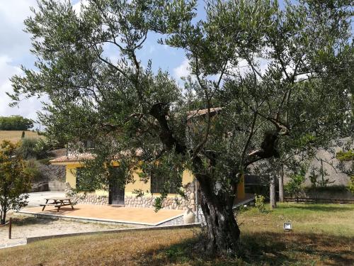 Zahrada ubytování Agriturismo I Tre Ulivi