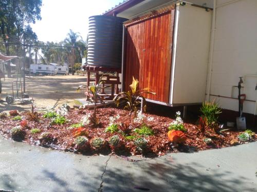 a garden in front of a building with plants at Rose City Caravan Park in Warwick