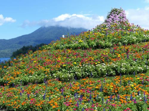 a field of flowers with mountains in the background at Akan Yuku no Sato Tsuruga in Akankohan