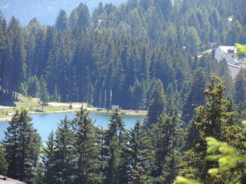 a view of a lake in the middle of a forest at Arp (470 Bä) OG in Valbella