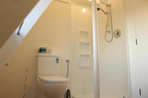 a bathroom with a toilet and a walk in shower at Arosa - Lake Tekapo in Lake Tekapo