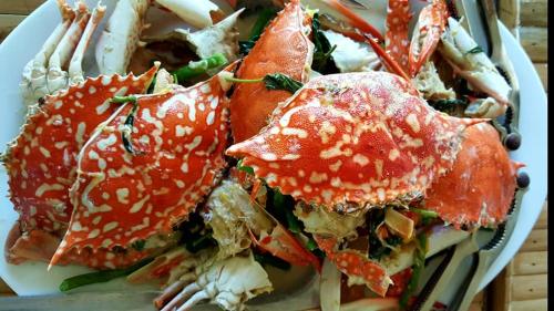 Mad på resortet eller i nærheden