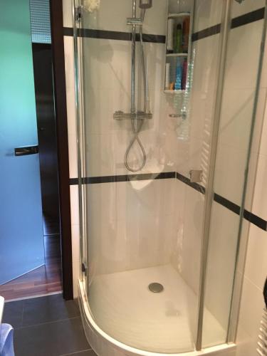 a shower with a glass door in a bathroom at Schlosspark Bungalow in Seebenstein