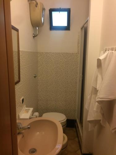 baño con lavabo y aseo y ventana en Agriturismo La Calabrisella en Davoli