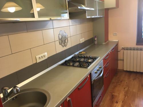 Кухня или мини-кухня в Apartament Antonia
