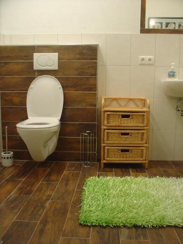 a bathroom with a toilet and a sink and a green rug at Haus Panorama in Filzmoos