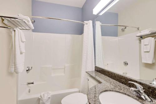 a bathroom with a toilet and a sink at Microtel Inn and Suites by Wyndham - Geneva in Geneva