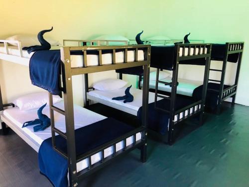 grupa łóżek piętrowych w pokoju w obiekcie Ella Escapade Hostel by Nomadic w mieście Ella