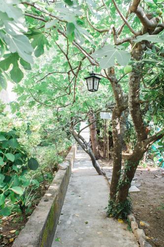 a tree with a light on it next to a sidewalk at Apartmani Tripović in Tivat