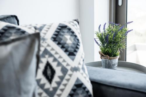 a potted plant sitting on a table next to a window at NiMar Villas in Plaka