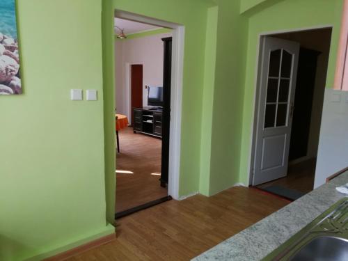 a bathroom with green walls and a sink and a mirror at Penzion Libertas Mariánské Lázně in Mariánské Lázně