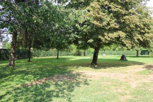a group of trees in a field of grass at Le Poule House in Guérard