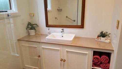 een badkamer met een wastafel en een spiegel bij Arendon Cottage in Evandale