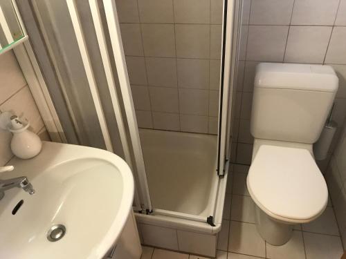 een badkamer met een toilet, een wastafel en een douche bij Rehli in Blatten bei Naters