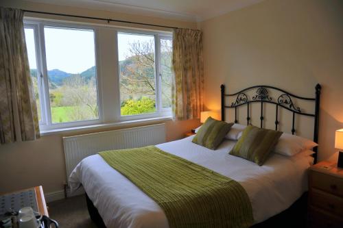a bedroom with a large bed and two windows at Maes-y-Garth in Betws-y-coed
