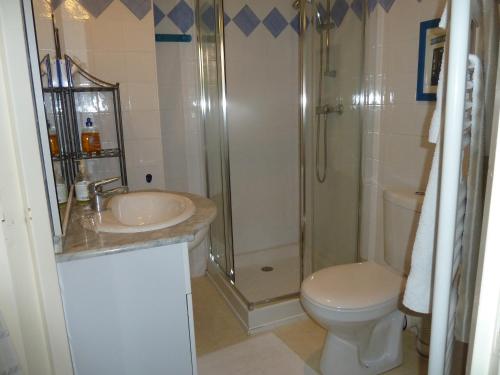 a bathroom with a shower and a toilet and a sink at La Maison de Velours in Villeneuve-sur-Lot