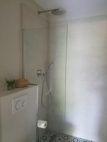 a shower with a glass door in a bathroom at Webergarten in Oestrich-Winkel