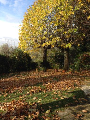 Fattoria Le Poggiola – Photos 3