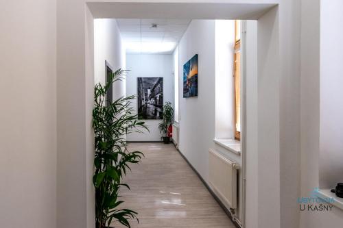 Gambar di galeri bagi Ubytovna U Kašny di Uherské Hradiště