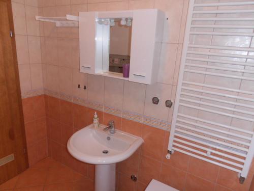La salle de bains est pourvue d'un lavabo et d'un miroir. dans l'établissement Albatros A1, à Zagreb