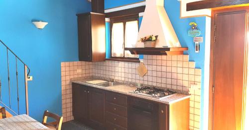 a kitchen with a stove and a blue wall at Agriturismo Arcobaleno della Torretta in Giano dellʼUmbria
