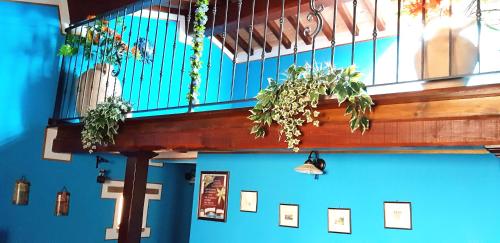a staircase with potted plants on a blue wall at Agriturismo Arcobaleno della Torretta in Giano dellʼUmbria