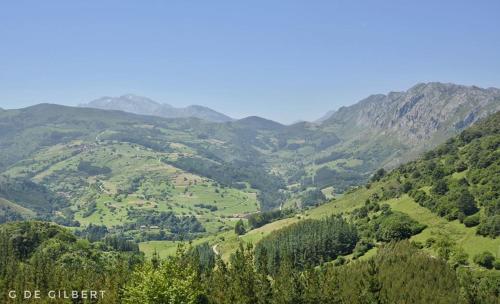 a view of a valley with trees and mountains at Posada Rural Peñasagra in Quintanilla