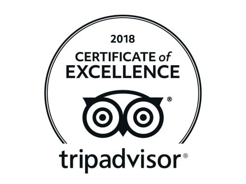 a logo for the certificate of excellence triopter at Parsons Hilltop Safari Camp in Balule Game Reserve