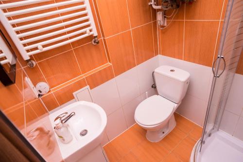 Vonios kambarys apgyvendinimo įstaigoje Apartament Premium