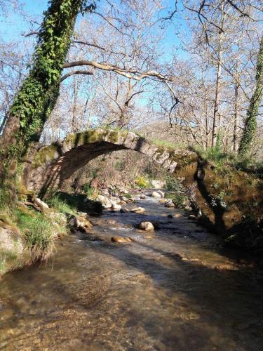 an old stone bridge over a stream in a forest at Gourgiana Apartments in Andritsaina