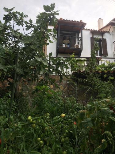 a building with a window and vegetation in front of it at Gourgiana Apartments in Andritsaina