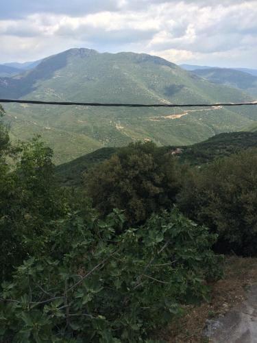 a view of auliculiculiculiculiculiculiculiculiculiculiculic at Gourgiana Apartments in Andritsaina