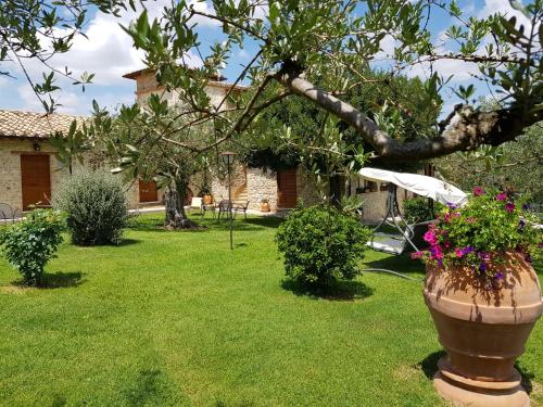 a yard with a house with a tree and a flower pot at Agriturismo Arcobaleno della Torretta in Giano dellʼUmbria
