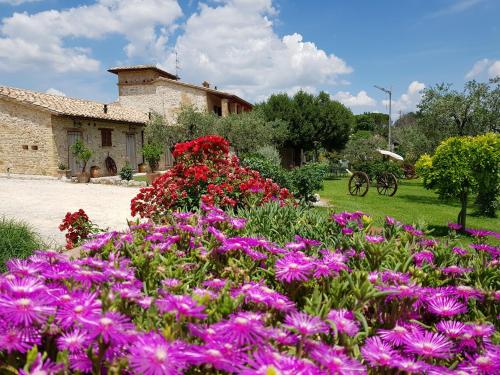a garden with pink flowers in front of a building at Agriturismo Arcobaleno della Torretta in Giano dellʼUmbria