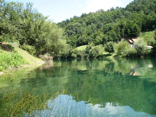 un río con árboles a su lado en Peaceful Oasis - house for rest and relaxation, en Bosanska Krupa