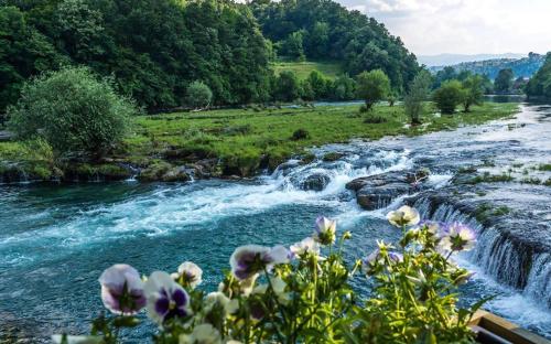 un río con cascada y flores en primer plano en Peaceful Oasis - house for rest and relaxation, en Bosanska Krupa