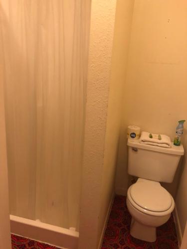 a bathroom with a toilet with a shower curtain at The Courtland Hotel & Spa in Fort Scott
