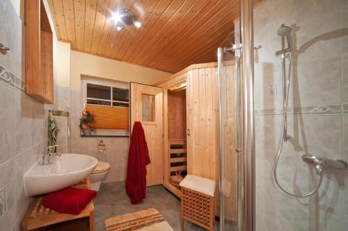 a bathroom with a shower and a sink and a toilet at Ferienhaus Buchholz in Warnitz