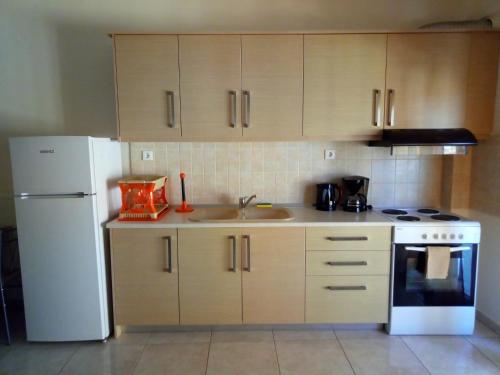 Kuchyň nebo kuchyňský kout v ubytování Labrini's House