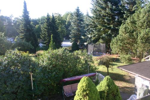 een park met een bank midden tussen de bomen bij Ferienwohnung Am See 55 in Bad Saarow