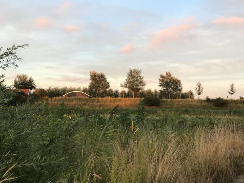 a field of tall grass with a barn in the background at Logies Zen & Zilt Veere in Veere