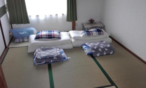 高松市にあるkaeru Guest houseのリビングルーム(ソファ2台、枕付)