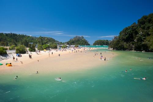 a group of people on a beach in the water at Kaiteriteri Reserve Cabins in Kaiteriteri