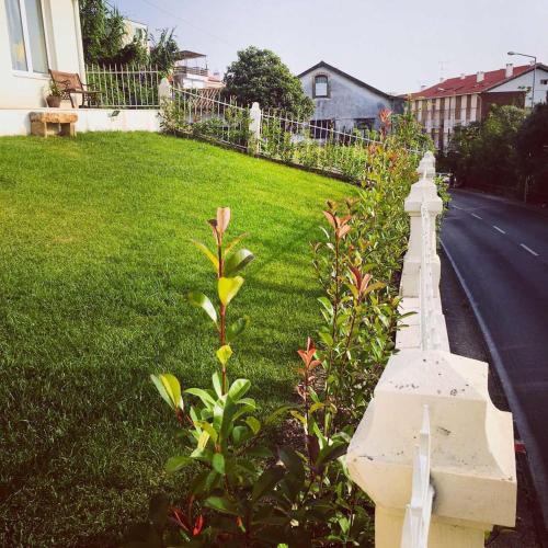 Κήπος έξω από το CoimbraAmeias